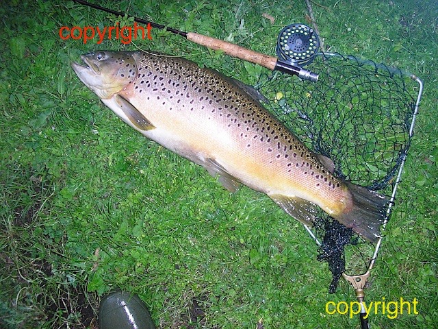 27in x17in g clatford 4