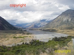 Harper R dry